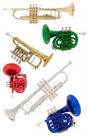 Trumpeter